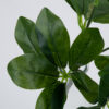 GloboStar® GloboStar® SCHEFFLERA 78222 Τεχνητό Φυτό Σεφλέρα - Μπουκέτο Διακοσμητικών Φυτών - Κλαδιών με Φύλλωμα Πράσινο Υ30cm