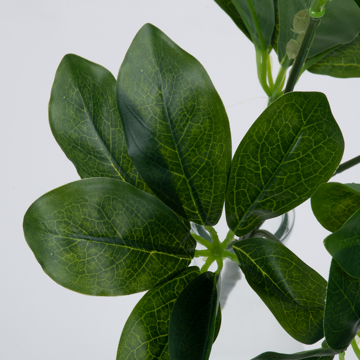 GloboStar® SCHEFFLERA 78222 Τεχνητό Φυτό Σεφλέρα - Μπουκέτο Διακοσμητικών Φυτών - Κλαδιών με Φύλλωμα Πράσινο Υ30cm 3 GloboStar® GloboStar® SCHEFFLERA 78222 Τεχνητό Φυτό Σεφλέρα - Μπουκέτο Διακοσμητικών Φυτών - Κλαδιών με Φύλλωμα Πράσινο Υ30cm