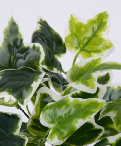 GloboStar® GloboStar® ALGERIAN IVY 78228 Τεχνητό Φυτό Αλγερινός Κισσός - Μπουκέτο Διακοσμητικών Φυτών - Κλαδιών με Φύλλωμα Πράσινο Υ30cm