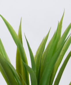 GloboStar® GloboStar® GREEN CORDYLINE 78230 Τεχνητό Φυτό Κορδιλύνη Πράσινη - Μπουκέτο Διακοσμητικών Φυτών - Κλαδιών με Φύλλωμα Πράσινο Υ33cm