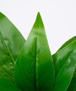 GloboStar® GloboStar® ARROW ROOT 78231 Τεχνητό Φυτό Αραρούτι - Μπουκέτο Διακοσμητικών Φυτών - Κλαδιών με Φύλλωμα Πράσινο Υ27cm