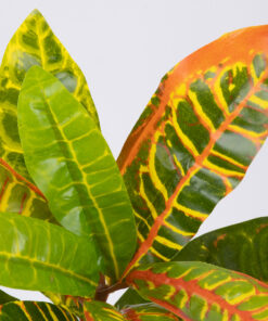 GloboStar® GloboStar® MIXED CROTON 78235 Τεχνητό Φυτό Κρότωνας Μιξ - Μπουκέτο Διακοσμητικών Φυτών - Κλαδιών με Φύλλωμα Πράσινο - Πορτοκαλί - Κίτρινο Υ35cm