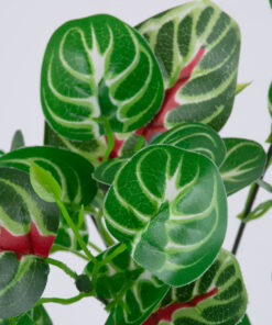 GloboStar® GloboStar® IRESINE PLANT 78237 Τεχνητό Φυτό Αιμόφυλλο - Μπουκέτο Διακοσμητικών Φυτών - Κλαδιών με Φύλλωμα Πράσινο - Κόκκινο Υ35cm