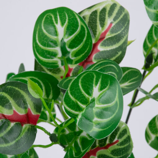 GloboStar® GloboStar® IRESINE PLANT 78237 Τεχνητό Φυτό Αιμόφυλλο - Μπουκέτο Διακοσμητικών Φυτών - Κλαδιών με Φύλλωμα Πράσινο - Κόκκινο Υ35cm