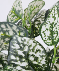 GloboStar® GloboStar® POLKA DOT PLANT 78259 Τεχνητό Φυτό Πόλκα - Μπουκέτο Διακοσμητικών Φυτών - Κλαδιών με Φύλλωμα Πράσινο - Λευκό Υ33cm