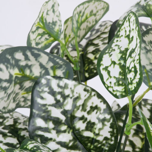 GloboStar® GloboStar® POLKA DOT PLANT 78259 Τεχνητό Φυτό Πόλκα - Μπουκέτο Διακοσμητικών Φυτών - Κλαδιών με Φύλλωμα Πράσινο - Λευκό Υ33cm