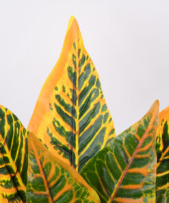 GloboStar® GloboStar® ORANGE CROTON 78260 Τεχνητό Φυτό Κρότωνας Πορτ. - Μπουκέτο Διακοσμητικών Φυτών - Κλαδιών με Φύλλωμα Πράσινο - Πορτοκαλί Υ34cm