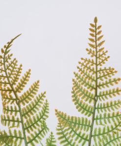 GloboStar® GloboStar® FERN 78269 Τεχνητό Φυτό Φτέρη - Μπουκέτο Διακοσμητικών Φυτών - Κλαδιών με Φύλλωμα Πράσινο - Καφέ Υ45cm