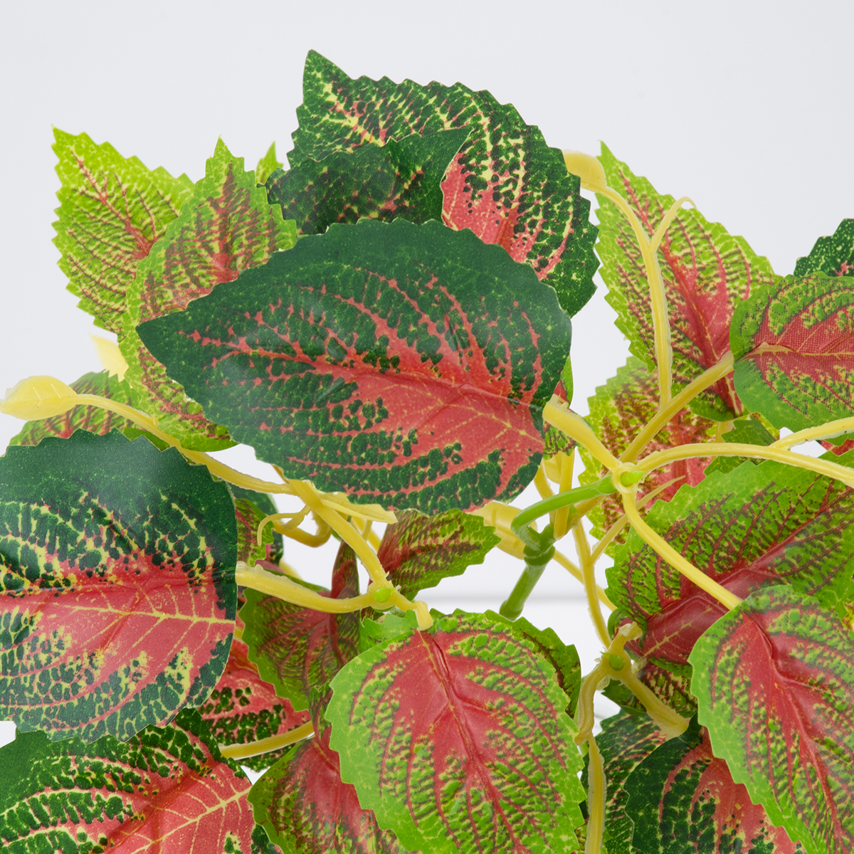 GloboStar® SWEDISH IVY 78270 Τεχνητό Φυτό Σουηδικός Κισσός - Μπουκέτο Διακοσμητικών Φυτών - Κλαδιών με Φύλλωμα Πράσινο - Κόκκινο Υ28cm 3 GloboStar® GloboStar® SWEDISH IVY 78270 Τεχνητό Φυτό Σουηδικός Κισσός - Μπουκέτο Διακοσμητικών Φυτών - Κλαδιών με Φύλλωμα Πράσινο - Κόκκινο Υ28cm