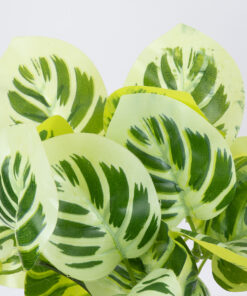 GloboStar® GloboStar® WHITE PEPEROMIA 78276 Τεχνητό Φυτό Πεπερόμια Λευκή - Μπουκέτο Διακοσμητικών Φυτών - Κλαδιών με Φύλλωμα Πράσινο - Λευκό Υ33cm