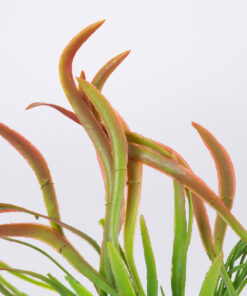 GloboStar® GloboStar® SPLEENWORTH BIG 78280 Τεχνητό Φυτό Ασπλήνιο Μεγάλο - Μπουκέτο Διακοσμητικών Φυτών - Κλαδιών με Φύλλωμα Πράσινο - Κόκκινο Υ50cm