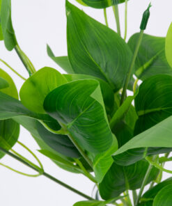 GloboStar® GloboStar® WATER PLANTAIN 78284 Τεχνητό Φυτό Άλισμα - Μπουκέτο Διακοσμητικών Φυτών - Κλαδιών με Φύλλωμα Πράσινο Υ30cm