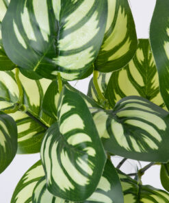 GloboStar® GloboStar® GREEN PEPEROMIA 78286 Τεχνητό Φυτό Πεπερόμια Πράσινη - Μπουκέτο Διακοσμητικών Φυτών - Κλαδιών με Φύλλωμα Πράσινο - Λευκό Υ33cm