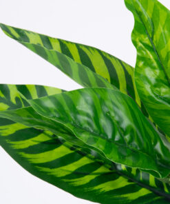 GloboStar® GloboStar® PEACOCK PLANT D.GREEN 78288 Τεχνητό Φυτό Καλαθέα Σ.Πρ. - Μπουκέτο Διακοσμητικών Φυτών - Κλαδιών με Φύλλωμα Πράσινο Υ28cm