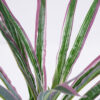GloboStar® GloboStar® DRACAENA PURPLE 78294 Τεχνητό Φυτό Δράκαινα Μωβ - Μπουκέτο Διακοσμητικών Φυτών - Κλαδιών με Φύλλωμα Πράσινο - Μωβ Υ45cm
