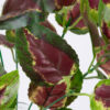 GloboStar® GloboStar® AMARANTHUS TRICOLOR 78296 Τεχνητό Φυτό Αμάραντος Τρίχρωμος - Μπουκέτο Διακοσμητικών Φυτών - Κλαδιών με Φύλλωμα Πράσινο - Κόκκινο - Κίτρινο Υ34cm