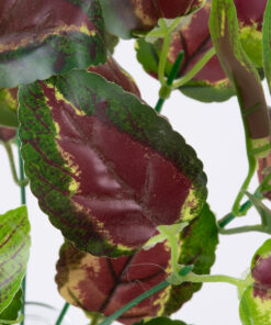 GloboStar® GloboStar® AMARANTHUS TRICOLOR 78296 Τεχνητό Φυτό Αμάραντος Τρίχρωμος - Μπουκέτο Διακοσμητικών Φυτών - Κλαδιών με Φύλλωμα Πράσινο - Κόκκινο - Κίτρινο Υ34cm