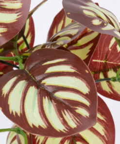 GloboStar® GloboStar® RED PEPEROMIA 78297 Τεχνητό Φυτό Πεπερόμια Κοκκ. - Μπουκέτο Διακοσμητικών Φυτών - Κλαδιών με Φύλλωμα Κόκκινο - Λευκό Υ30cm