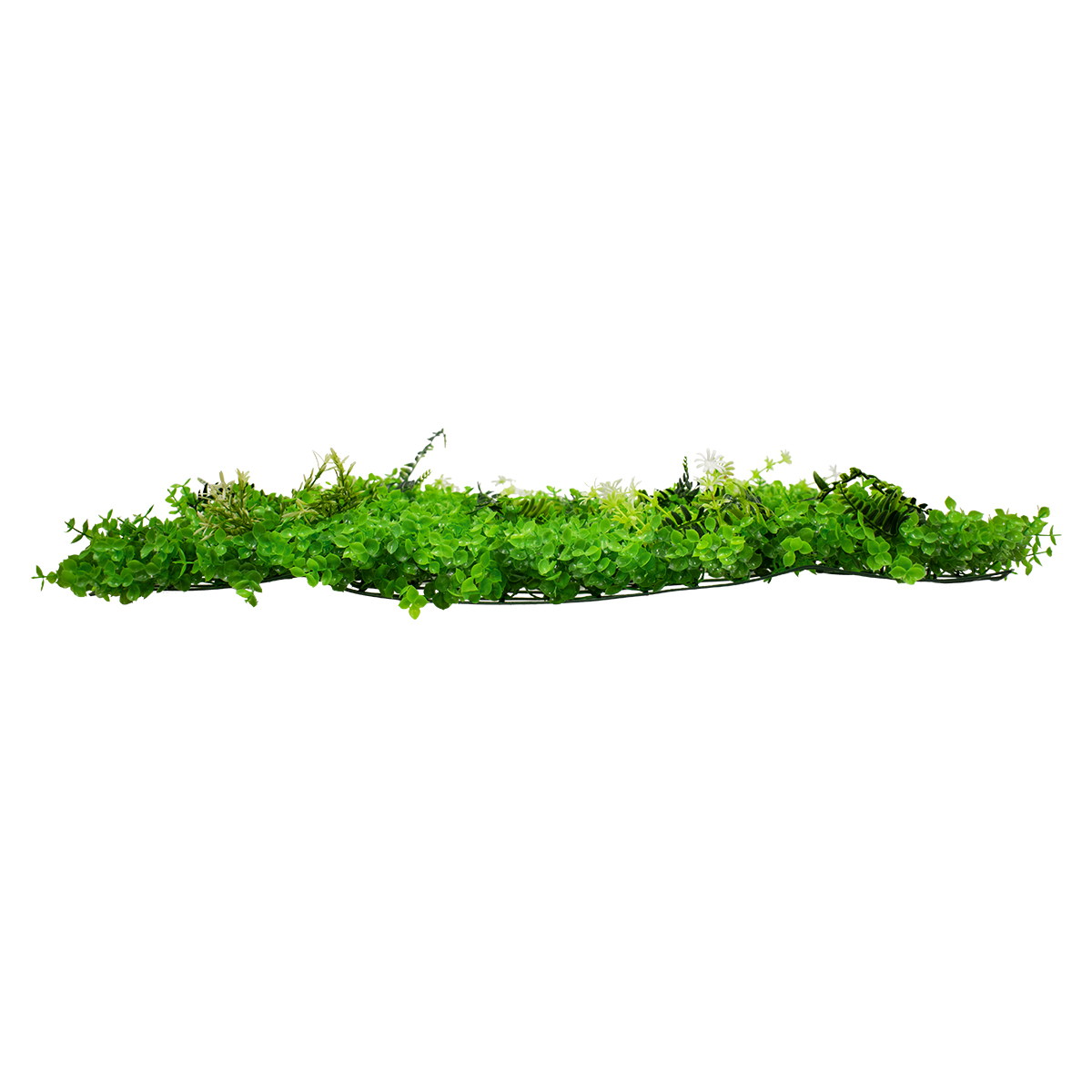 GLOBOSTAR® BUXUS 78412 Τεχνητό Πάνελ Φυλλωσιάς / Κάθετος Κήπος Καυκάσιο Πυξάρι, Φτέρη & Tokyo Sun - Πράσινο - Μ60 x Υ9 x Π40cm - Πράσινο - Μ60 x Υ9 x Π40cm 3 GLOBOSTAR® BUXUS 78412 Τεχνητό Πάνελ Φυλλωσιάς / Κάθετος Κήπος Καυκάσιο Πυξάρι, Φτέρη & Tokyo Sun - Πράσινο - Μ60 x Υ9 x Π40cm - Πράσινο - Μ60 x Υ9 x Π40cm - Image 2