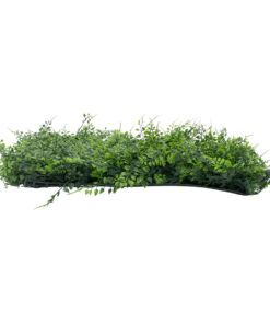 Alternative view of GLOBOSTAR® LEYLAND 78413 Τεχνητό Πάνελ Φυλλωσιάς / Κάθετος Κήπος Λέιλαντ & Νάνος Κισσός - Πράσινο - Μ60 x Υ9 x Π40cm