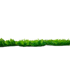 GloboStar® GloboStar® 78416 Artificial - Συνθετικό Τεχνητό Διακοσμητικό Πάνελ Φυλλωσιάς - Κάθετος Κήπος Καυκάσιο Πυξάρι Πράσινο Μ60 x Υ40 x Π4cm