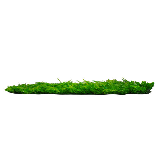 GloboStar® GloboStar® 78419 Artificial - Συνθετικό Τεχνητό Διακοσμητικό Πάνελ Φυλλωσιάς - Κάθετος Κήπος Καυκάσιο Πυξάρι - Φτέρη - Λυσιμαχία Πράσινο Μ60 x Υ40 x Π9cm