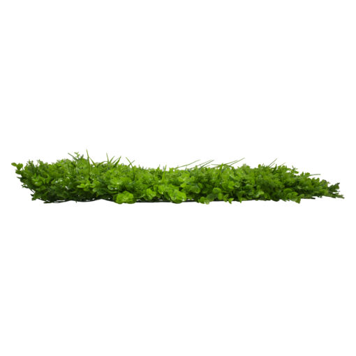 GloboStar® GloboStar® 78420 Artificial - Συνθετικό Τεχνητό Διακοσμητικό Πάνελ Φυλλωσιάς - Κάθετος Κήπος Καυκάσιο Πυξάρι - Λέιλαντ - Γρασίδι Πράσινο Μ60 x Υ40 x Π10cm