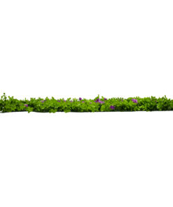 GloboStar® GloboStar® 78421 Artificial - Συνθετικό Τεχνητό Διακοσμητικό Πάνελ Φυλλωσιάς - Κάθετος Κήπος Καυκάσιο Πυξάρι - Απτένια Πράσινο Μ60 x Υ40 x Π8cm