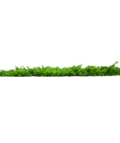 GloboStar® GLOBOSTAR® FERN 78422 Τεχνητό Πάνελ Φυλλωσιάς / Κάθετος Κήπος Βασιλική Φτέρη & Ίληξ - Πράσινο - Μ60 x Π9 x Υ40cm
