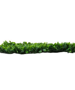 Alternative view of GloboStar® 78425 Artificial - Συνθετικό Τεχνητό Διακοσμητικό Πάνελ Φυλλωσιάς - Κάθετος Κήπος Πεπερομία - Πράσινο Μ60 x Υ40 x Π8cm