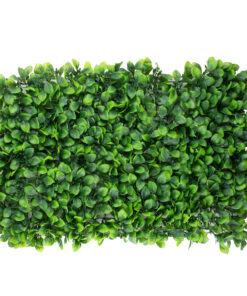 GloboStar® GloboStar® 78425 Artificial - Συνθετικό Τεχνητό Διακοσμητικό Πάνελ Φυλλωσιάς - Κάθετος Κήπος Πεπερομία - Πράσινο Μ60 x Υ40 x Π8cm