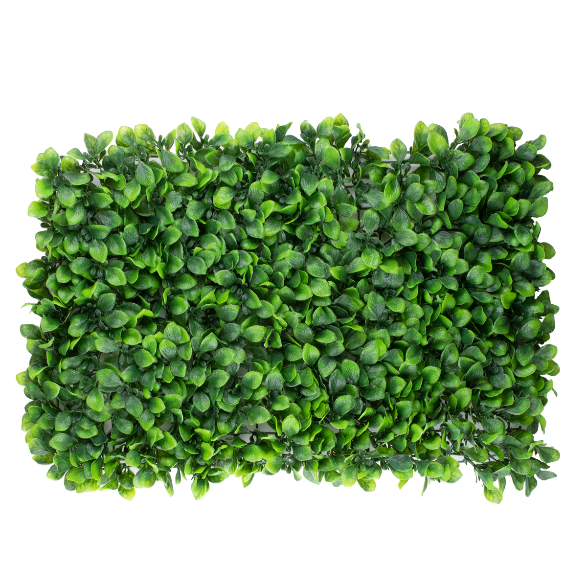 GloboStar® 78425 Artificial - Συνθετικό Τεχνητό Διακοσμητικό Πάνελ Φυλλωσιάς - Κάθετος Κήπος Πεπερομία - Πράσινο Μ60 x Υ40 x Π8cm 3 GloboStar® GloboStar® 78425 Artificial - Συνθετικό Τεχνητό Διακοσμητικό Πάνελ Φυλλωσιάς - Κάθετος Κήπος Πεπερομία - Πράσινο Μ60 x Υ40 x Π8cm