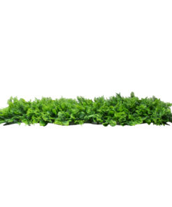 Alternative view of GloboStar® 78426 Artificial - Συνθετικό Τεχνητό Διακοσμητικό Πάνελ Φυλλωσιάς - Κάθετος Κήπος Λέιλαντ - Πράσινο Μ60 x Υ40 x Π9cm