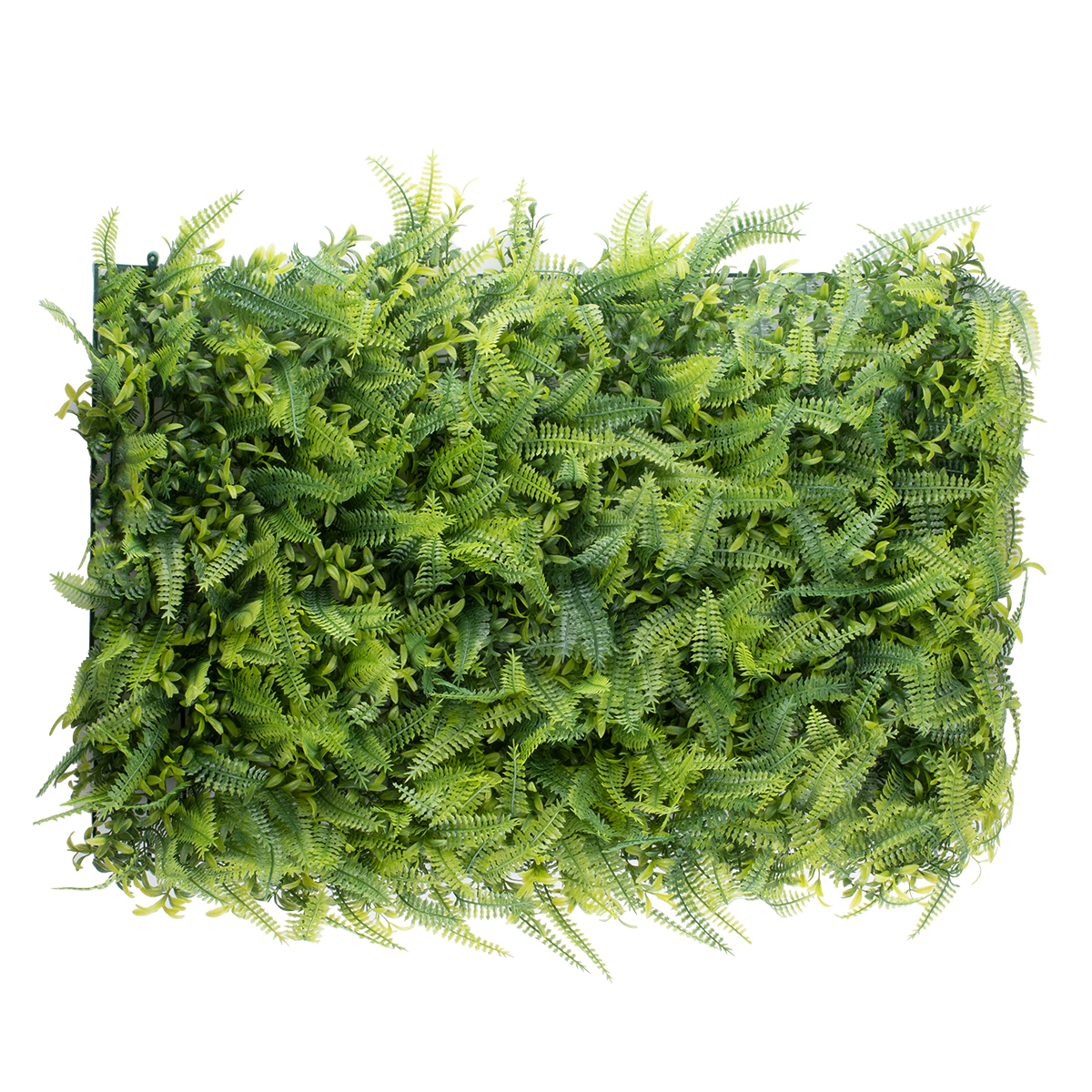 GloboStar® 78427 Artificial - Συνθετικό Τεχνητό Διακοσμητικό Πάνελ Φυλλωσιάς - Κάθετος Κήπος Νάνος Φτέρη - Γιασεμί - Πράσινο Μ60 x Υ40 x Π9cm 3 GloboStar® GloboStar® 78427 Artificial - Συνθετικό Τεχνητό Διακοσμητικό Πάνελ Φυλλωσιάς - Κάθετος Κήπος Νάνος Φτέρη - Γιασεμί - Πράσινο Μ60 x Υ40 x Π9cm