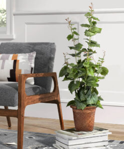 GloboStar® Artificial Garden SKIATHOS 20345 Διακοσμητικό Ψάθινο Καλάθι - Κασπώ Γλάστρα - Flower Pot Καφέ Φ24cm x Υ24cm 18 7aa27d 20379 20345