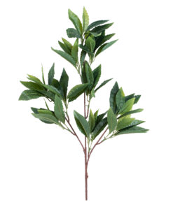 Alternative view of GloboStar® Artificial Garden LAURUS NOBILIS BRANCH 20225 10 x Τεχνητά Διακοσμητικά Κλαδία Δάφνης Π45 x Υ60cm