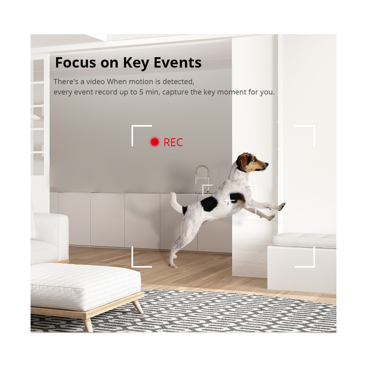 GloboStar® 80105 SONOFF S-CAM Slim Smart Home Security Camera WiFi 2.4GHz 1080P 130° Two Way Audio - Local & Cloud Storage - Nigh Vision - Motion Detection - Motion Alarm DC 5V 1A 8 GloboStar® 80105 SONOFF S-CAM Slim Smart Home Security Camera WiFi 2.4GHz 1080P 130° Two Way Audio - Local & Cloud Storage - Nigh Vision - Motion Detection - Motion Alarm DC 5V 1A - Image 6