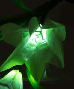 GloboStar® 85706 Αυτόνομο Ηλιακό Φωτιστικό Λουλούδι LED SMD 1W 100lm με Ενσωματωμένη Μπαταρία 600mAh - Φωτοβολταϊκό Πάνελ με Αισθητήρα Ημέρας-Νύχτας Αδιάβροχο IP65 Garden Lily Flower Ψυχρό Λευκό 6000K - ΣΕΤ 2 Τεμάχια 21 85706 10