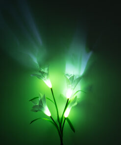 GloboStar® 85706 Αυτόνομο Ηλιακό Φωτιστικό Λουλούδι LED SMD 1W 100lm με Ενσωματωμένη Μπαταρία 600mAh - Φωτοβολταϊκό Πάνελ με Αισθητήρα Ημέρας-Νύχτας Αδιάβροχο IP65 Garden Lily Flower Ψυχρό Λευκό 6000K - ΣΕΤ 2 Τεμάχια 18 85706 7