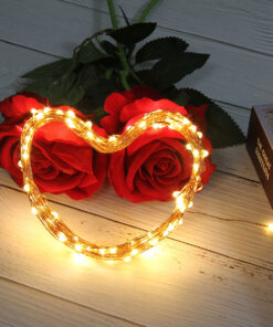 85845 Διακοσμητική Γιρλάντα 32 Μέτρα με Controller 8 Προγραμμάτων Εναλλαγών Φωτισμού - 300 LED 3.6W AC 230V με Χάλκινο Καλώδιο & Πρίζα Schuko Αδιάβροχη IP44 Θερμό Λευκό 3000K Μ32m 12 85845 6