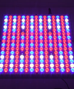 GloboStar® 85954 Grow Light Panel Full Spectrum LED Φωτιστικό Ανάπτυξης Φυτών Θερμοκηπίου SMD 2835 100W 160° AC230V IP54 Εσωτερικού Χώρου για Κάλυψη Επιφάνειας 1m x 1m Πλήρους Φάσματος Φωτισμού 16 85954 8
