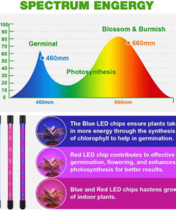 GloboStar® 85957 Grow Light Full Spectrum LED Φωτιστικό Ανάπτυξης Φυτών Γλάστρας με 4 Κινούμενες Κεφαλές & Βάση Μανταλάκι Clip SMD 2835 20W 160° AC230V IP20 με Dimmer & Timer Εσωτερικού Χώρου για Κάλυψη Επιφάνειας 1m x 1m Πλήρους Φάσματος Φωτισμού 19 85957 9