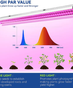 GloboStar® 85958 Linear Grow Light Full Spectrum LED Γραμμικό Φωτιστικό Ανάπτυξης Φυτών Θερμοκηπίου 120cm SMD 2835 200W 120° AC230V IP54 Εσωτερικού Χώρου για Κάλυψη Επιφάνειας 1.2m x 1.2m Πλήρους Φάσματος Φωτισμού 21 85958 10