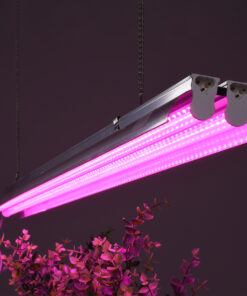 GloboStar® 85958 Linear Grow Light Full Spectrum LED Γραμμικό Φωτιστικό Ανάπτυξης Φυτών Θερμοκηπίου 120cm SMD 2835 200W 120° AC230V IP54 Εσωτερικού Χώρου για Κάλυψη Επιφάνειας 1.2m x 1.2m Πλήρους Φάσματος Φωτισμού 22 85958 11