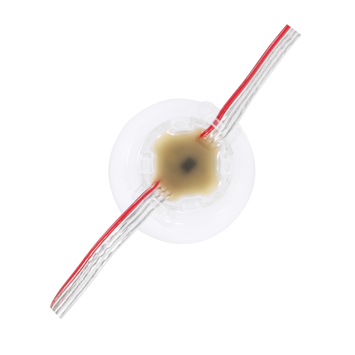 GloboStar® 90139 Digital Pixel Addressable Facade Module Chain String with 20 Spots - Ψηφιακή Αλυσίδα - Γιρλάντα με 20 Σποτ LED SMD 3535 15W 20LED 20PIXEL SPI/TTL Protocol IC UCS512B 900lm 240° DC 12V Αδιάβροχο IP67 Πολύχρωμο RGB - Μ200 x Π5 x Υ5cm - 3 Χρόνια Εγγύηση 5 GloboStar® 90139 Digital Pixel Addressable Facade Module Chain String with 20 Spots - Ψηφιακή Αλυσίδα - Γιρλάντα με 20 Σποτ LED SMD 3535 15W 20LED 20PIXEL SPI/TTL Protocol IC UCS512B 900lm 240° DC 12V Αδιάβροχο IP67 Πολύχρωμο RGB - Μ200 x Π5 x Υ5cm - 3 Χρόνια Εγγύηση - Image 3