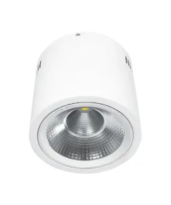 GloboStar® 999-0001 Φωτιστικό Σποτ Οροφής Downlight 30W 3000lm 24° AC 220-240V IP20 Ψυχρό Λευκό 6000K
