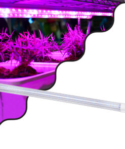 GloboStar® GloboStar® 85961 Linear Grow Light Full Spectrum LED Γραμμικό Φωτιστικό Ανάπτυξης Φυτών Θερμοκηπίου 60cm SMD 2835 40W 160° AC230V IP54 Εσωτερικού Χώρου για Κάλυψη Επιφάνειας 0.6m x 0.6m Πλήρους Φάσματος Φωτισμού