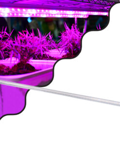GloboStar® GloboStar® 85963 Linear Grow Light Full Spectrum LED Γραμμικό Φωτιστικό Ανάπτυξης Φυτών Θερμοκηπίου 120cm SMD 2835 80W 160° AC230V IP54 Εσωτερικού Χώρου για Κάλυψη Επιφάνειας 1.2m x 1.2m Πλήρους Φάσματος Φωτισμού
